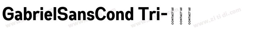 GabrielSansCond Tri字体转换